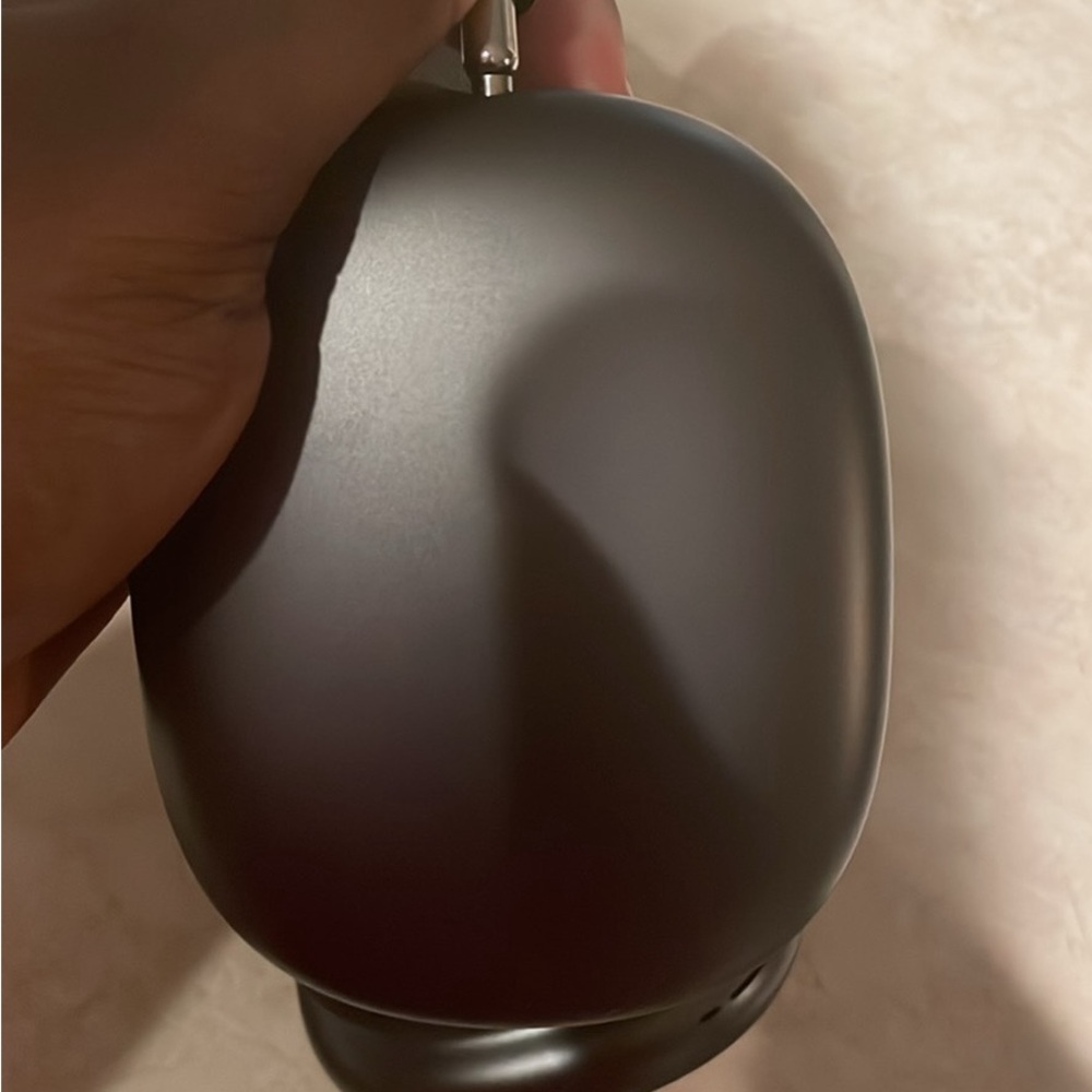 Black EarPods max comes with charger and case bought slightly used
